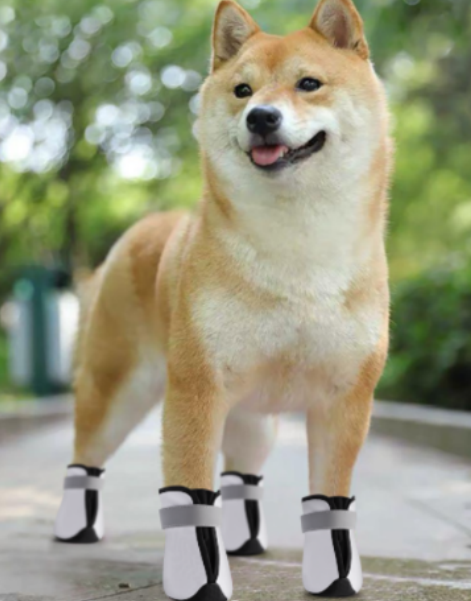 Dog Shoes: Polyester + Reflective PU + Velcro & Short Plush & Microfiber